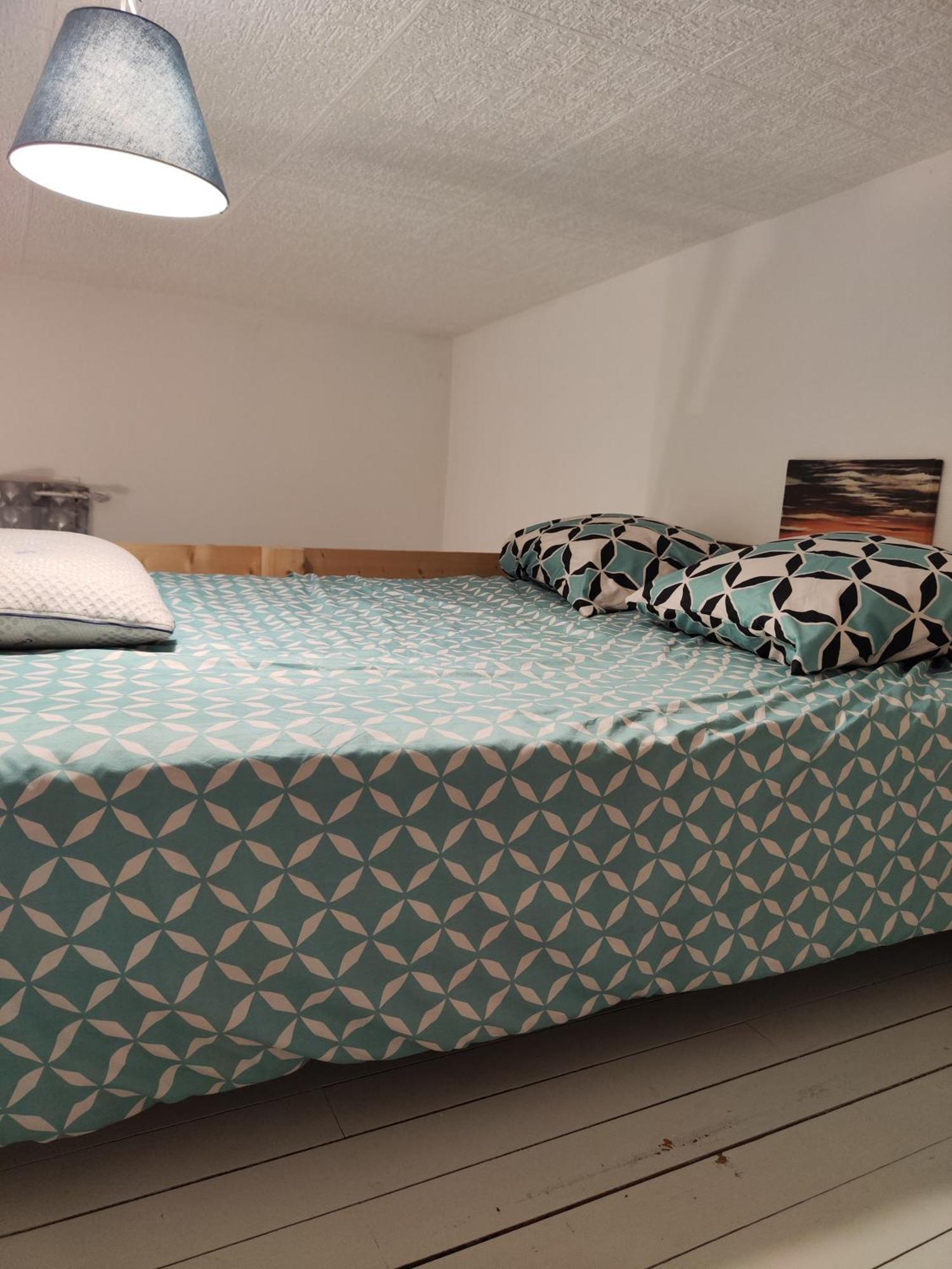 Spacieux Meuble Appartement Bischheim