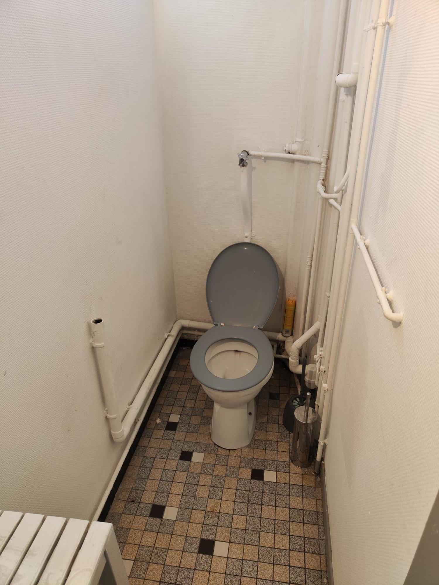 Appartement Spacieux Meuble Bischheim